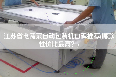 江蘇省電蔬菜自動(dòng)包裝機(jī)口碑推薦(哪款性價(jià)比z高？)