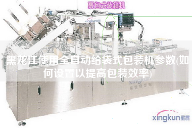 黑龍江使用全自動給袋式包裝機參數(如何設置以提高包裝效率)