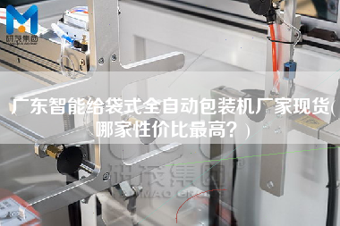 廣東智能給袋式全自動(dòng)包裝機(jī)廠家現(xiàn)貨(哪家性?xún)r(jià)比z高？)