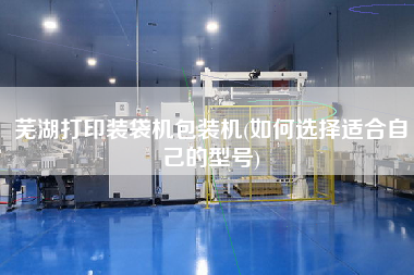 蕪湖打印裝袋機(jī)包裝機(jī)(如何選擇適合自己的型號(hào))