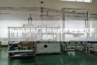 全自動裝袋機廠家你知道哪家是z優(yōu)秀的嗎？