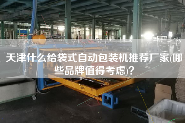 天津什么給袋式自動(dòng)包裝機(jī)推薦廠家(哪些品牌值得考慮)？