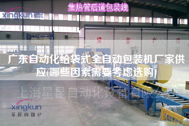 廣東自動化給袋式全自動包裝機(jī)廠家供應(yīng)(哪些因素需要考慮選購)