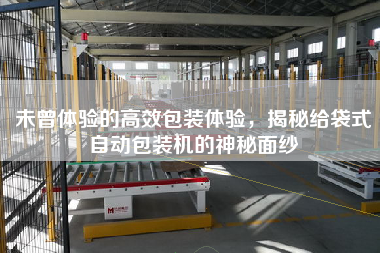 未曾體驗的高效包裝體驗，揭秘給袋式自動包裝機的神秘面紗