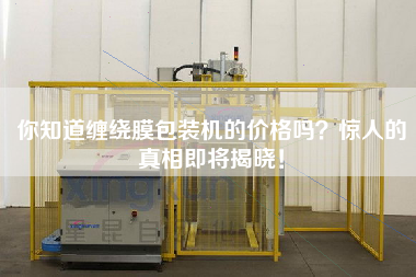 你知道纏繞膜包裝機(jī)的價(jià)格嗎？驚人的真相即將揭曉！