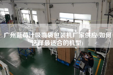 廣州藍莓汁吸嘴袋包裝機廠家供應(如何選擇z適合的機型)