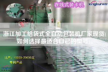 浙江加工給袋式全自動(dòng)包裝機(jī)廠家現(xiàn)貨(如何選擇z適合自己的型號(hào))。