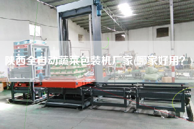 陜西全自動(dòng)蔬菜包裝機(jī)廠家(哪家好用？)
