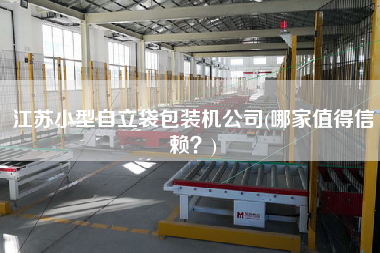 江蘇小型自立袋包裝機公司(哪家值得信賴？)