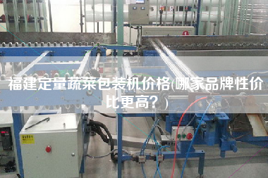 福建定量蔬菜包裝機價格(哪家品牌性價比z高？)