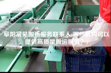 阜陽常見搬運服務聯(lián)系人(哪些機構可以提供高質量搬運服務？)