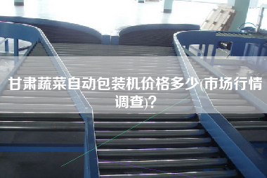 甘肅蔬菜自動(dòng)包裝機(jī)價(jià)格多少(市場(chǎng)行情調(diào)查)？