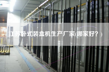 江蘇臥式裝盒機(jī)生產(chǎn)廠家(哪家好？)