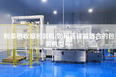 粉條熱收縮包裝機(jī)(如何選擇z適合的包裝機(jī)型號)